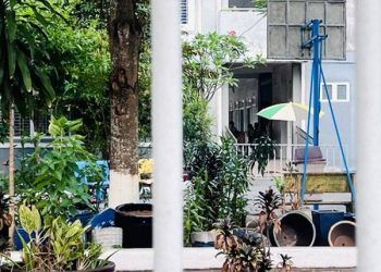 Bé gái lớp 5 rơi từ tầng 2 trường học xuống đất tử vong