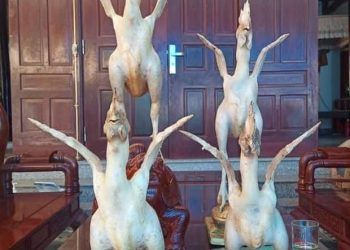 Độc đáo những mâm cỗ "gà bay" cúng Rằm tháng giêng