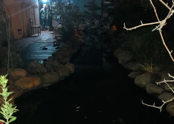 hai chau be 4 tuoi tu vong thuong tam duoi ho ca koi Quảng Ninh: Hai bé trai 4 tuổi tử vong thương tâm dưới hồ cá Koi Hai cháu bé 4 tuổi tử vong thương tâm dưới hồ cá Koi