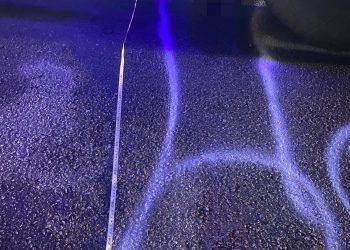 Lời khai của nữ tài xế bị khởi tố vì không cứu người gặp tai nạn