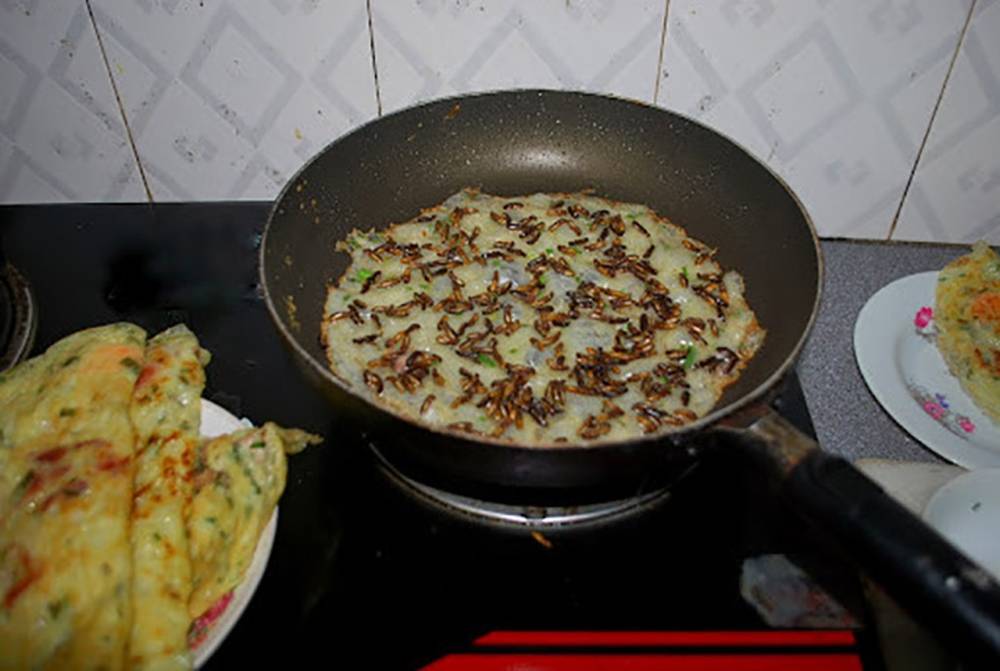 Món cháo độc đáo được nấu từ đặc sản 'tôm bay' trên đỉnh Trường Sơn