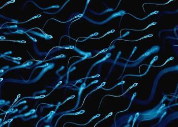 Tiềm năng của thuốc tránh thai dành cho nam giới