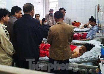 Vụ nam sinh Lào Cai bị chó cắn: Xử phạt chủ chó 1,5 triệu đồng