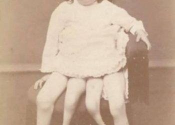 Cô gái 4 chân nổi tiếng như minh tinh, từng là niềm mơ ước của bao chàng trai