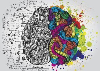 Lật tẩy sự thật về lợi thế của người thuận tay trái: Hóa ra sự thông minh, sáng tạo không hề liên quan