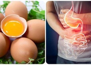 tac hai cua viec an nhieu trung ga Tác hại của việc ăn nhiều trứng gà Tác hại của việc ăn nhiều trứng gà